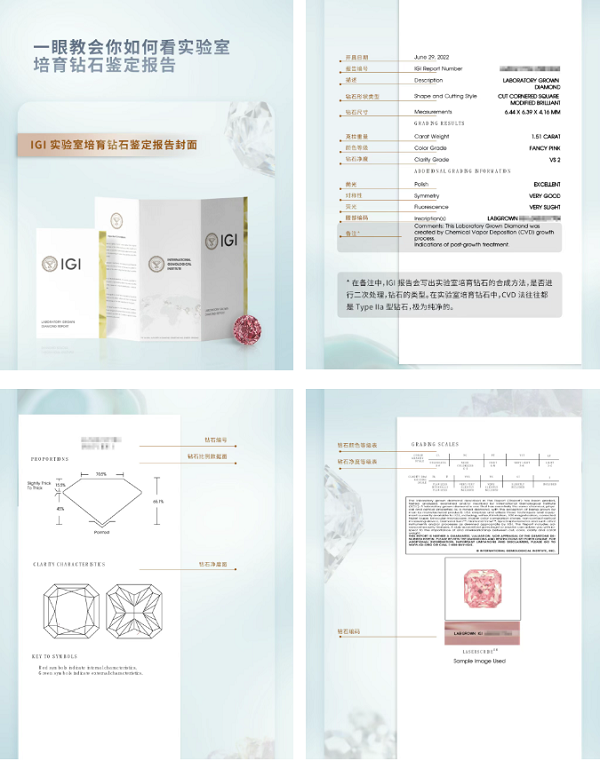 微信图片_20260709192909_8_450.png 微信图片_20260709192909_8_450.png